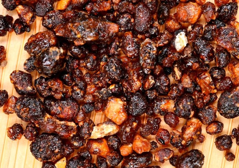Where does myrrh come from tracing the origins