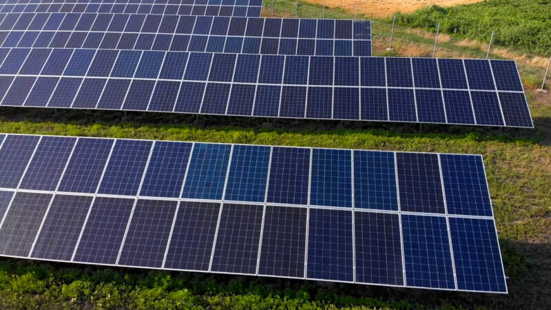 Long-Term Benefits of Half-Cut Cell Solar Panels