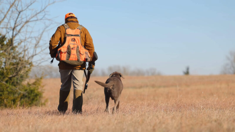 A man with a dog hunting