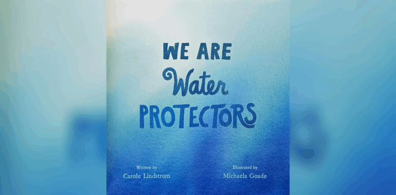 Cover of We Are Water Protectors by Carole Lindstrom