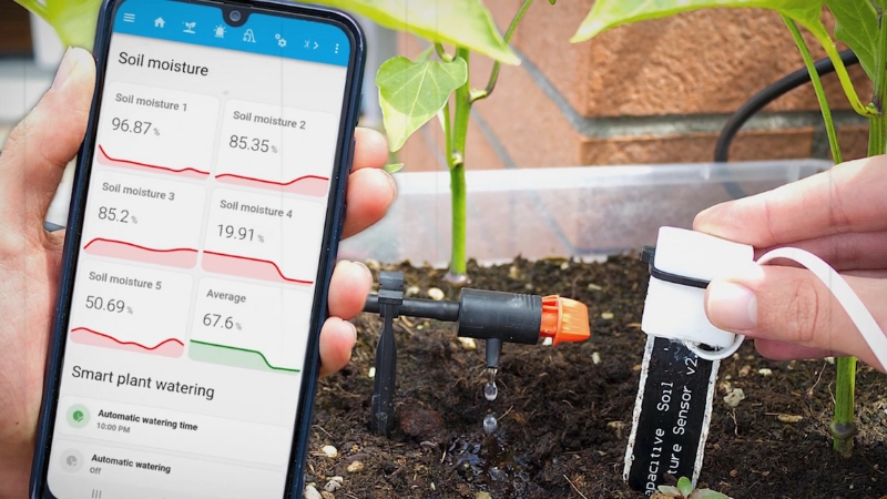 Capacitive soil moisture sensor in garden soil connected to a phone app that monitors irrigation data